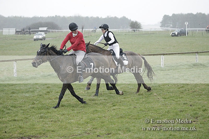 PtP 150320 0027 - New Forest Point-to-Point Larkhill 15/03/20