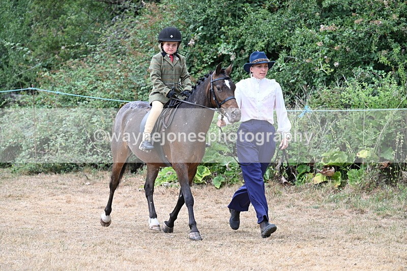 WJ7_0388 - Class 6 Ridden Mountain and Moorland