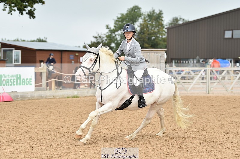 230902A-112508-00707 - Cls 2B Pony Small 80cm