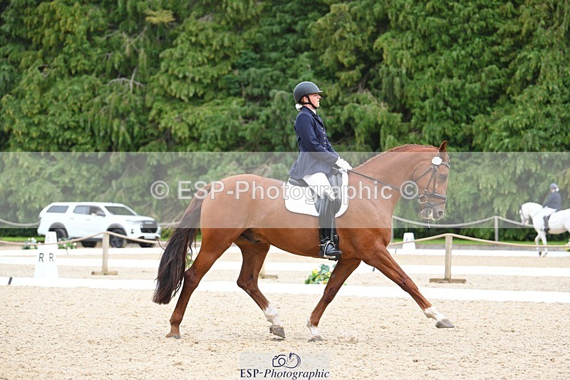 230813-135412-07637 - Cls 13 Medium Bronze 13.15 to End