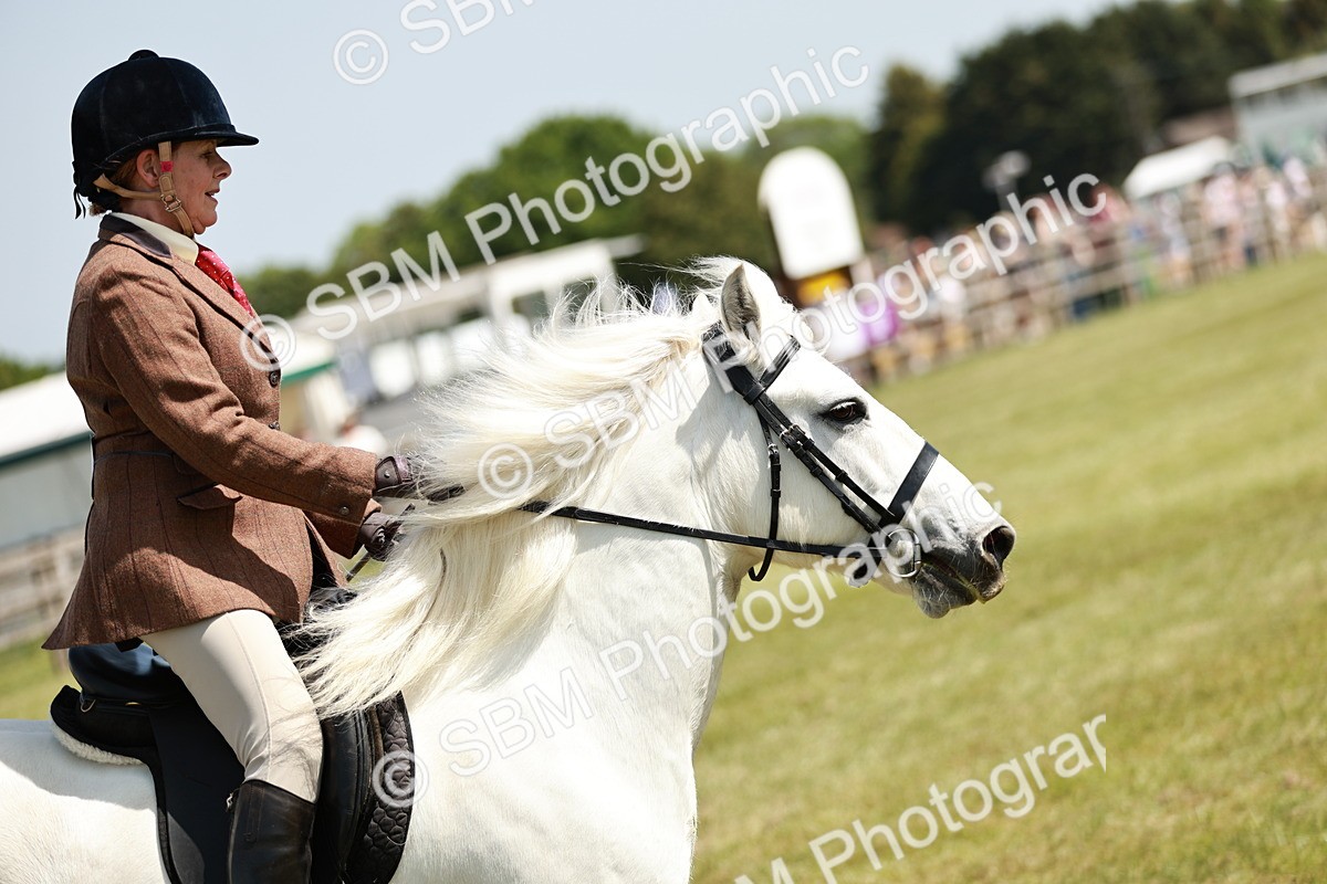 SBM_07069 - Class 26-30 - Mountain and Moorland Ridden
