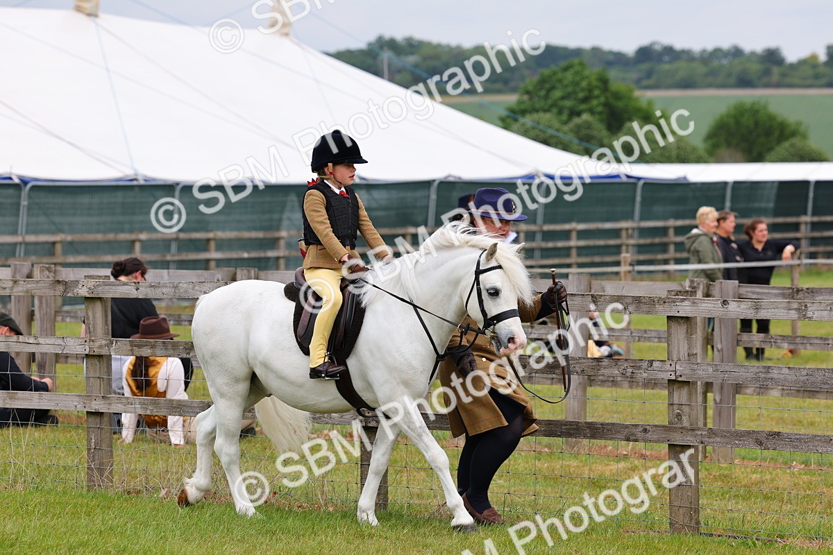 SBM_08076 - Class 42-43 - LIHS BSPS Heritage Working Sports Pony