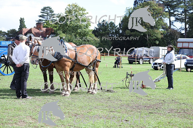 APP_3576 - Class 7 Turnout for a single or pair