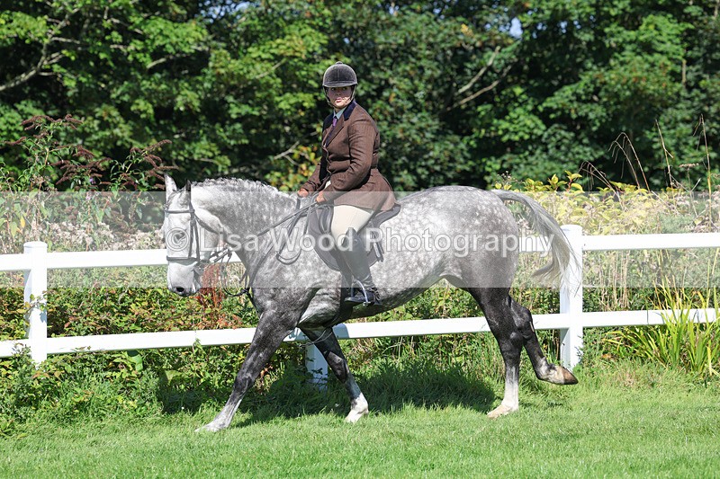 3E7A8389 - Class 4: Novice working Hunter