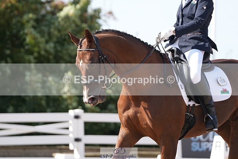 250906-150732-04661 - 108-Susan.JonesWoodlander.Summer.Breeze