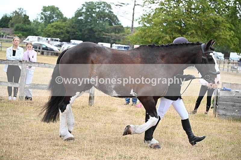 WJ6_8084 - Class 10 Coloured in Hand