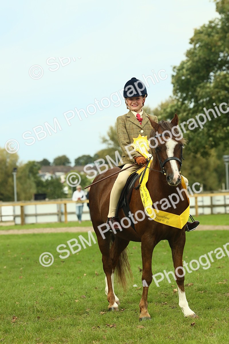 SBM_70023 - S59 - Mountain & Moorland Ridden Small Breeds
