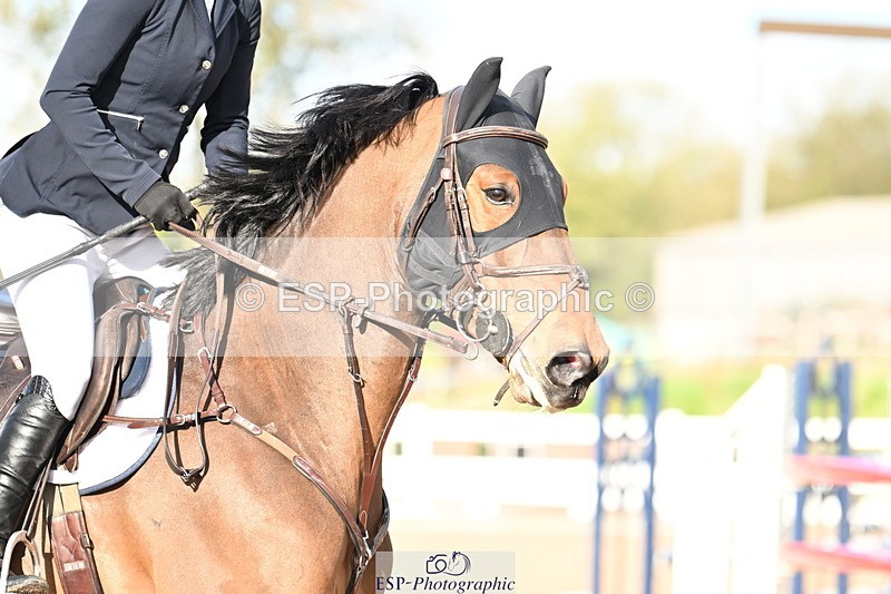 241023A-150858-01117 - Cls 5 Foxhunter and 1.20m Open