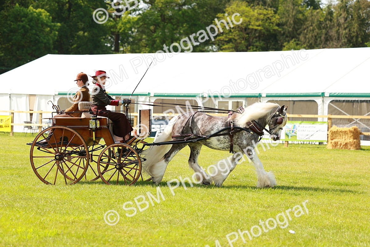 SBM_02651 - Class 2-4 - HOYS Private Driving