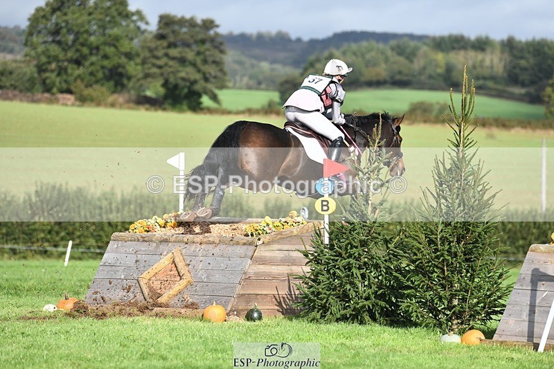 231020-115728-07274 - 057-OVERTON.TILANA'S.GOLD-Claire.Deuten-XC