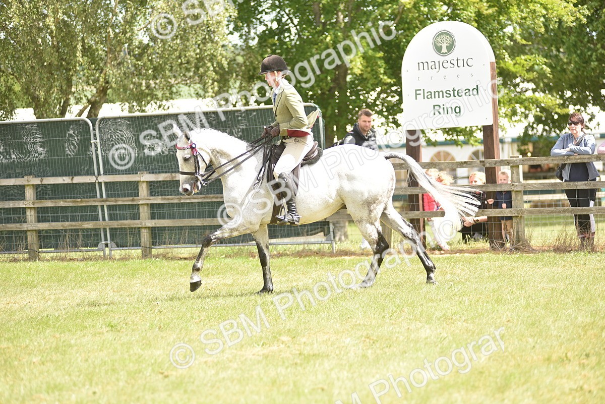SBM_15081 - Class 113-114 - Retraining of Racehorses Ridden