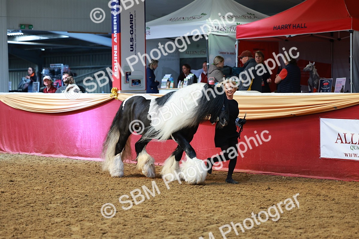 SBM_18463 - Class 903 - Sup Final - IH Pre Vet