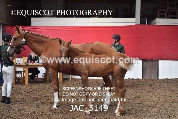 JAC_5149 - 9 Zinzipan