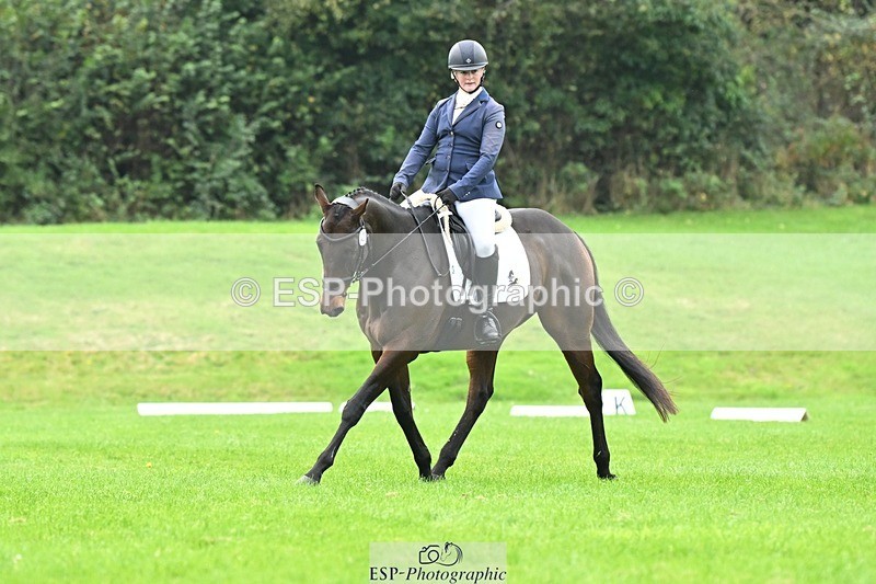 241024-144514-04595 - 420-Pip.Howarth-OTTAVA