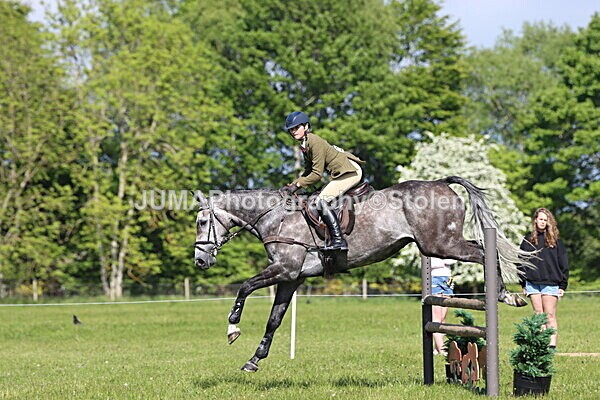 IMG_4855 - Working Hunter