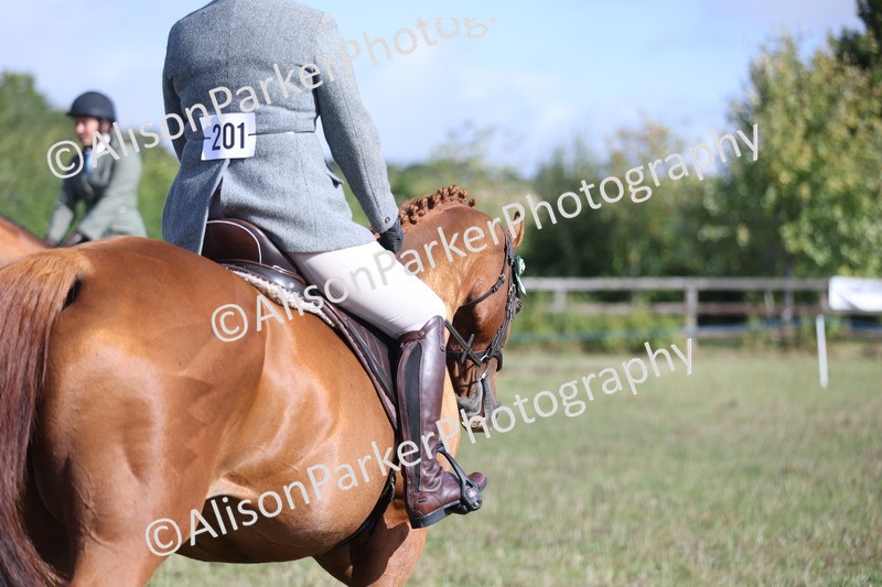 20250831-0890 - Class 14 - Ex Racehorse