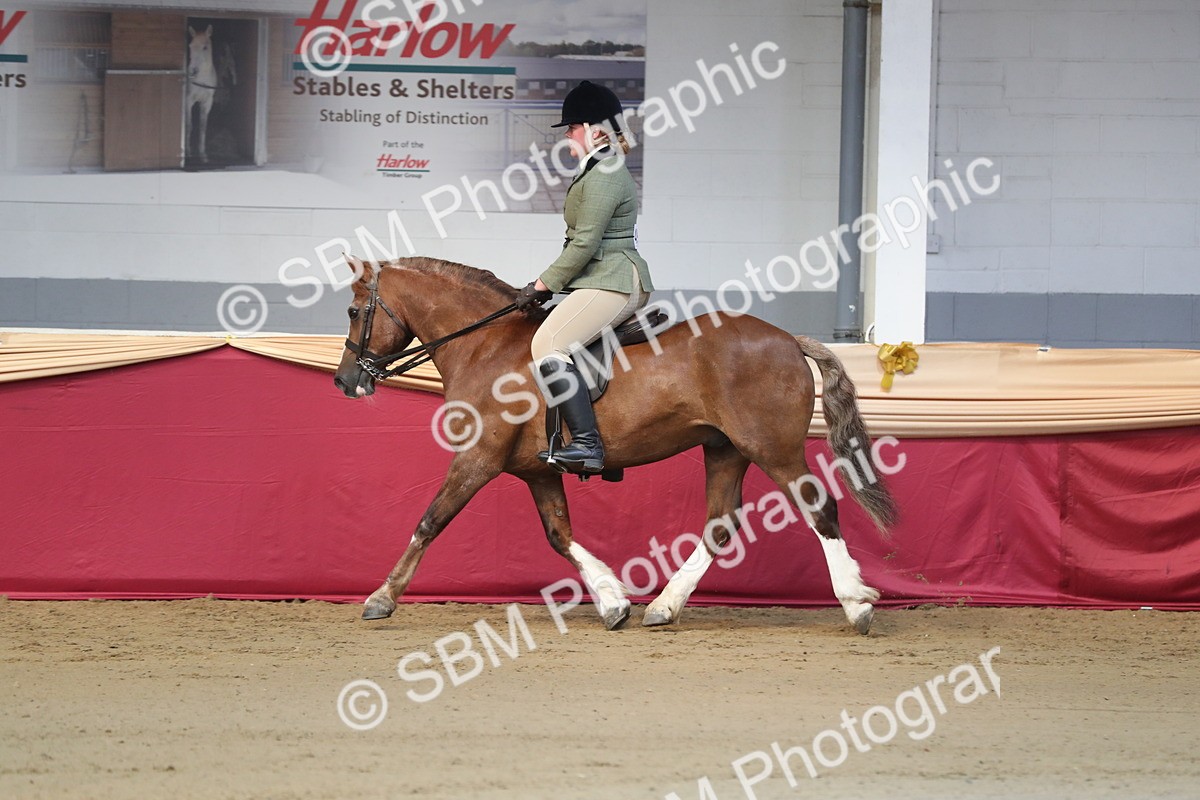 SBM_01969 - Class 4a Area Ridden Diamond