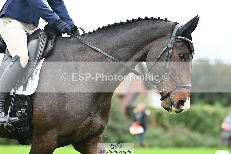 241024-105022-02289 - 312-Charlotte.Bradbury-KENSINGTON.EMPIRE