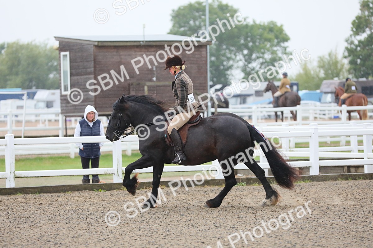 SBM_19885 - Class 801 - Ridden Veteran
