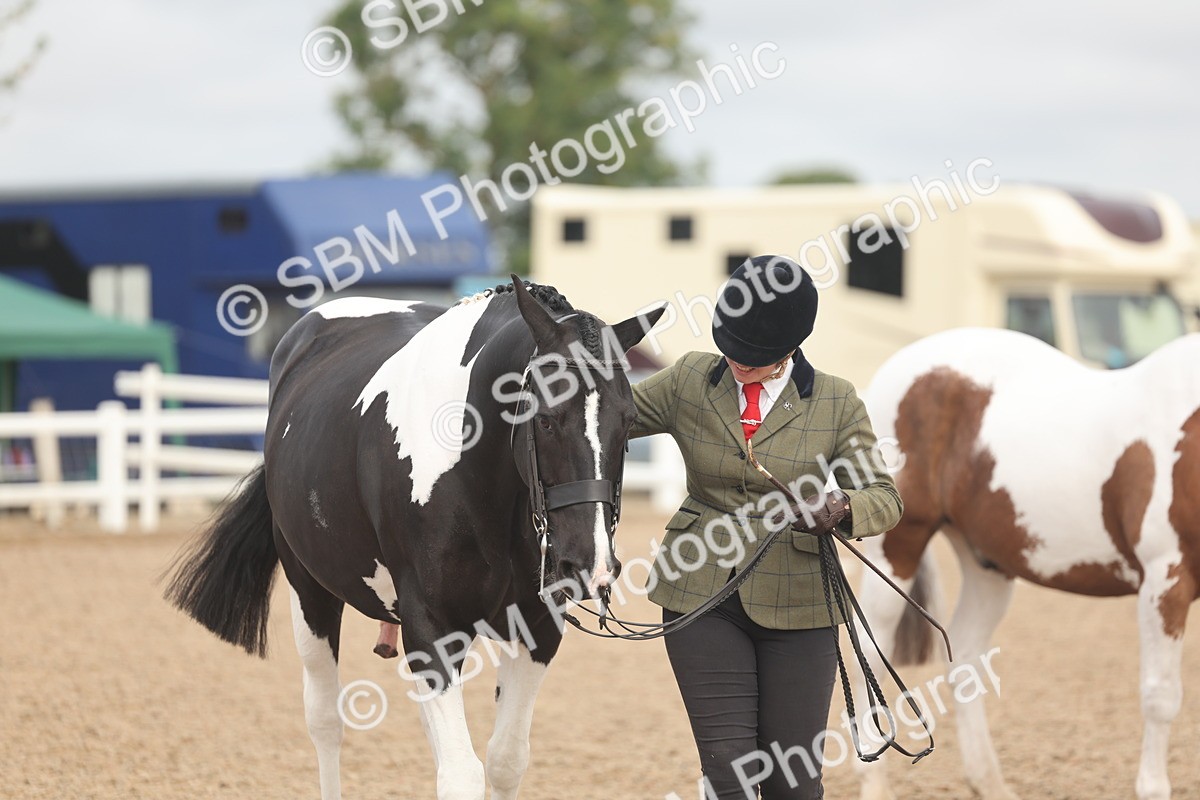 SBM_02129 - Class 15 - IH Coloured