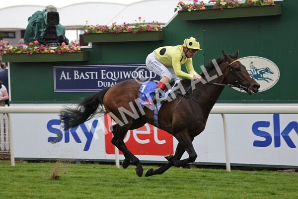 yr11062022r4-23 - Race 4 3.05pm Sky Bet Grand Cup