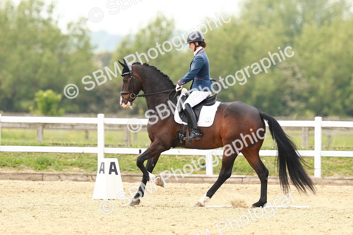 SBM_002642 - Class 12 - Medium 4