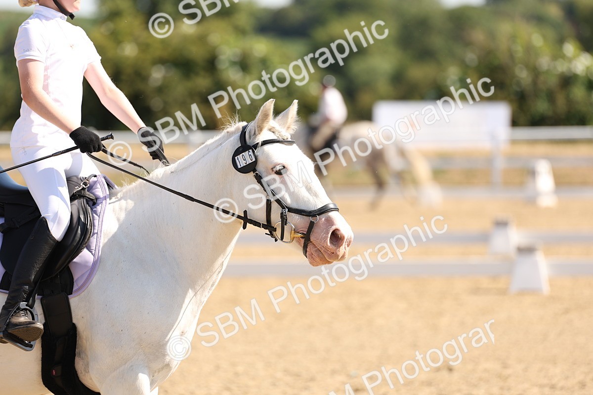 SBM_001025 - Intro 2