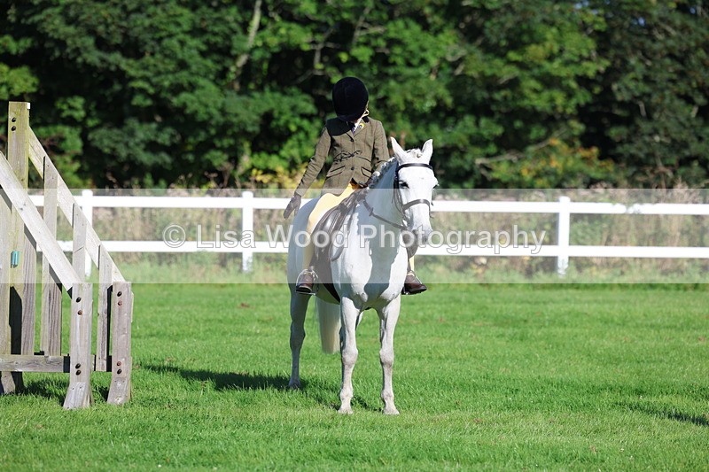 3E7A7656 - Class 1: Novice Working Hunter Pony