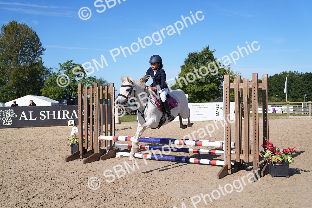 SBM_17596 - J58 - Clear Round 60cm