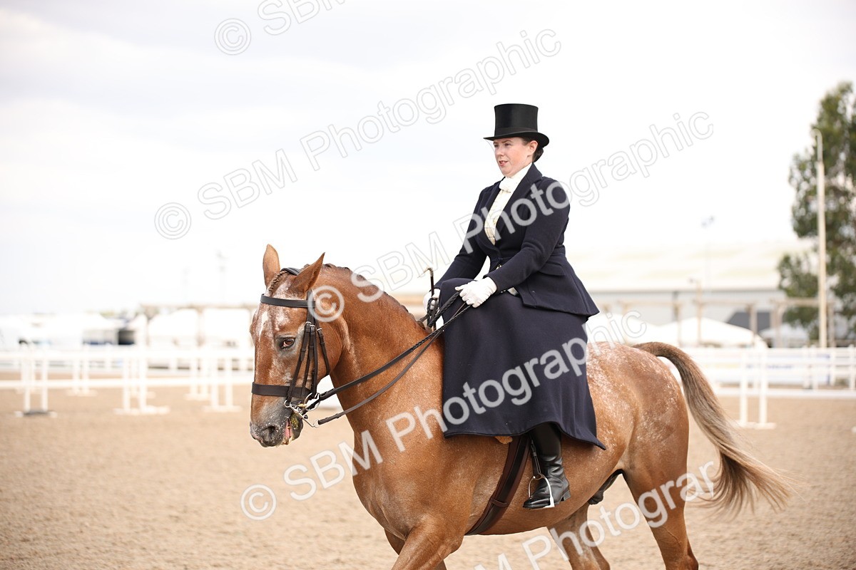 SBM_06669 - Class 23 SSA Classical