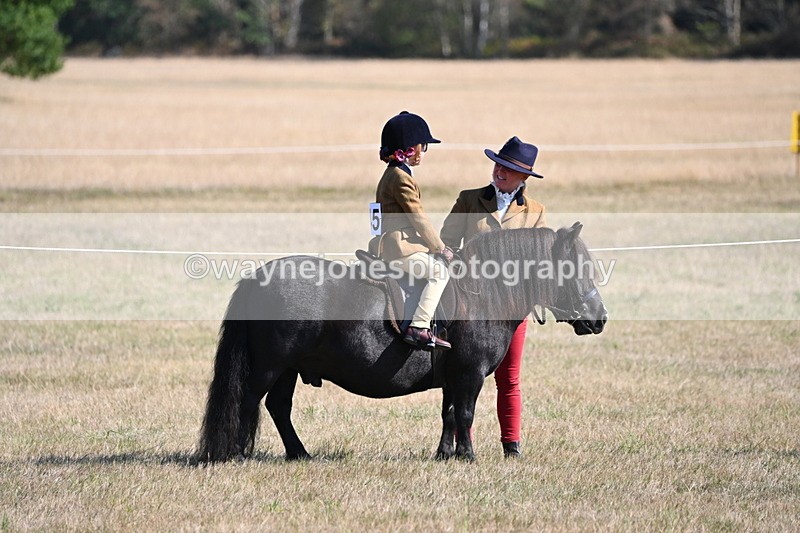 WJ6_7431 - Class 34 Judges Choice