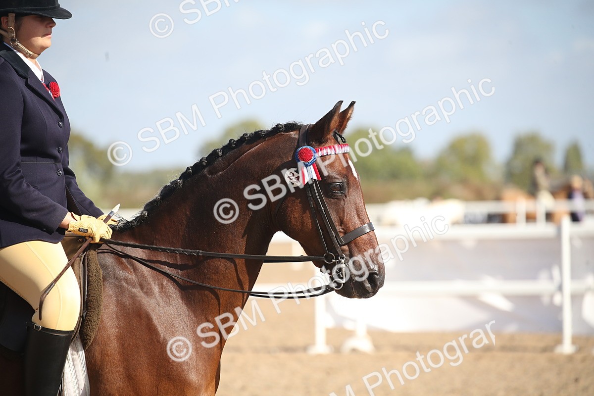 SBM_22817 - Class 602 - 2026 Area - Ridden Veteran