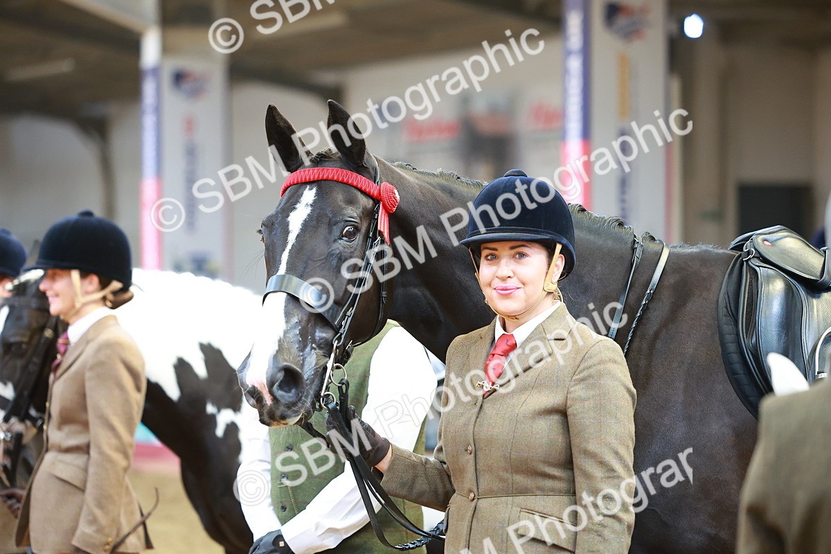 SBM_10703 - Class 103 - HOYS Veteran Qualifier - Ridden Pre Vet