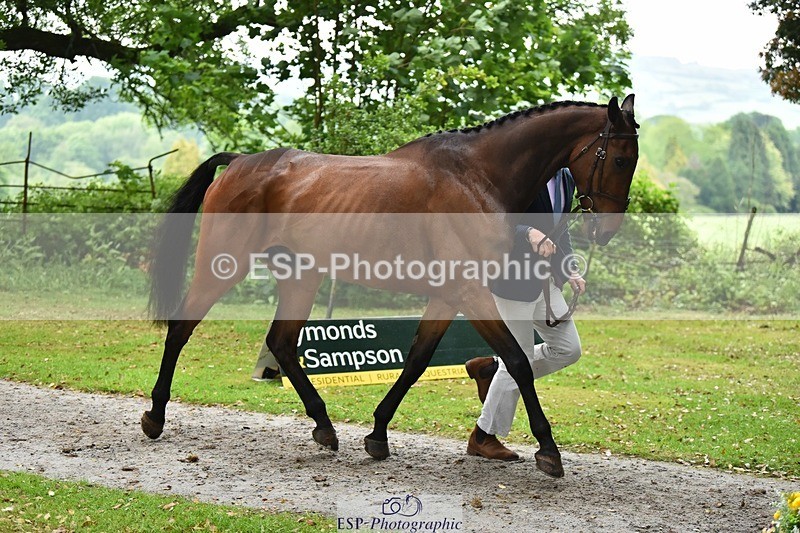 240522-165900-01303 - 272-PRIORSPARK_ROYAL_RIFF-RAFF-Jesse_Campbell