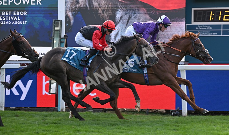 190826-266 Henley On Thames - Race 7 17.20pm Sky Bet Nursery Handicap