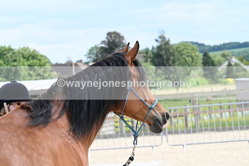 WJ7_7959 - Time 15:39 to 16:08