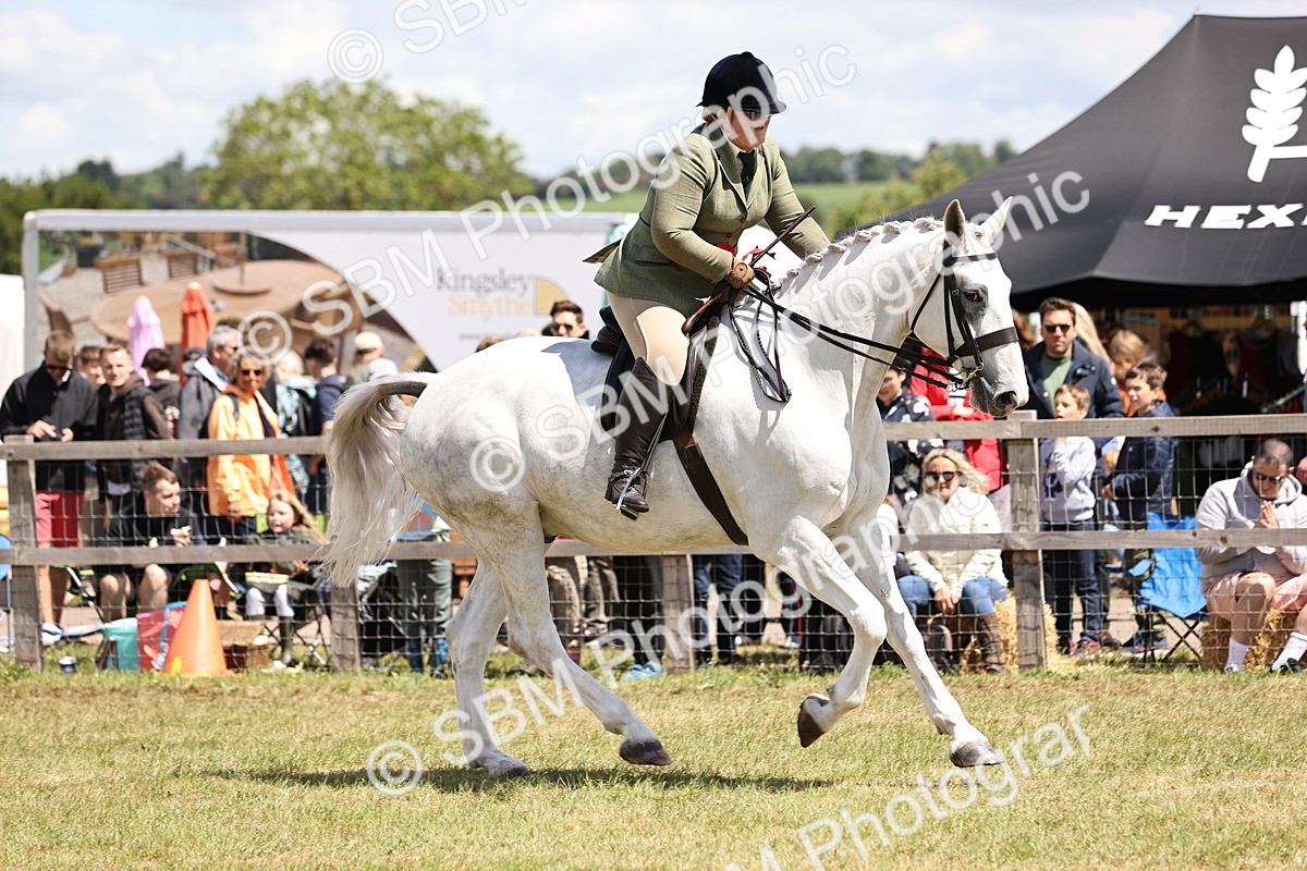 SBM_14761 - Class 88-89 - LIHS BSHA Rising Star of Ridden Hunter Type