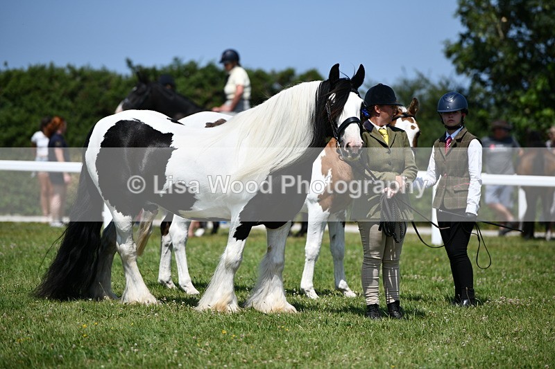 DSC_7649 - Class 64: Coloured Pony 4yrs & over