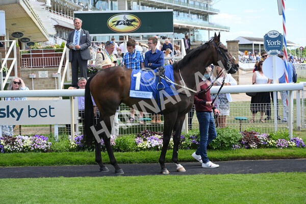 yr12062021r4-36 - Race 4 3.40pm The Pavers Foundation Catherine Memorial Sprint Stakes