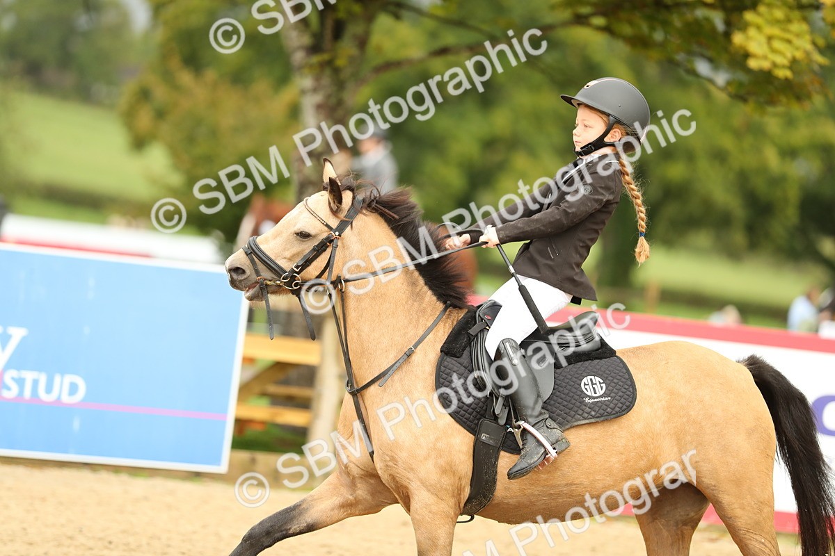 SBM_34264 - J60 Clear Round 50cm