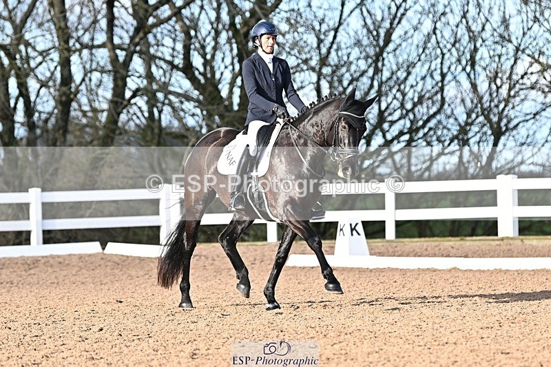 241214-114644-01453 - 151-Elder.Klatzko-Dynasty.Hit