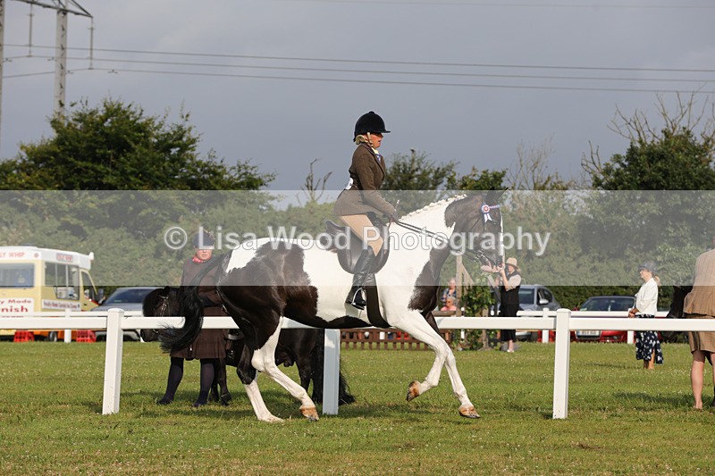 1X9A2897 - Class 25: Ridden Plaited Coloured Horse
