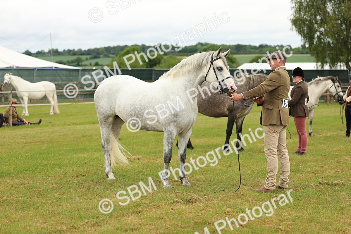 SBM_04081 - Class 64-67 - Shetland Pony In Hand