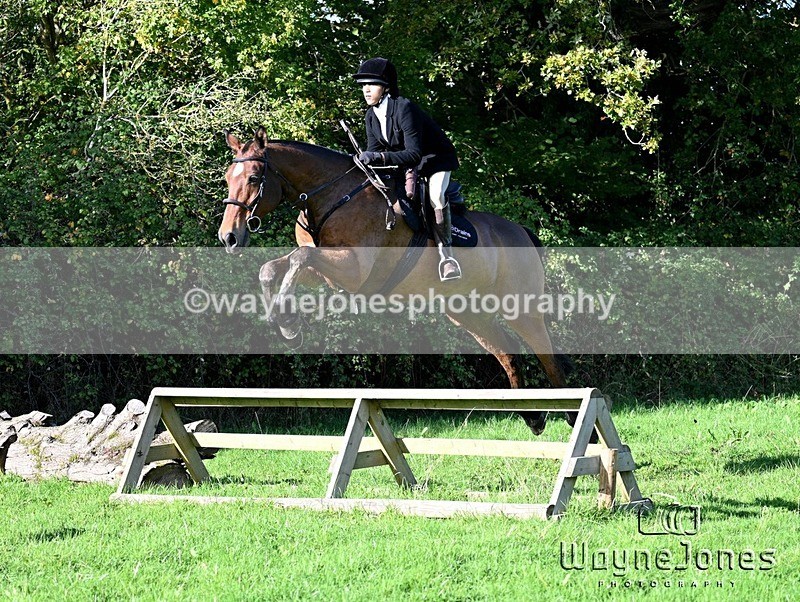 WJ7_5070 - Edited examples