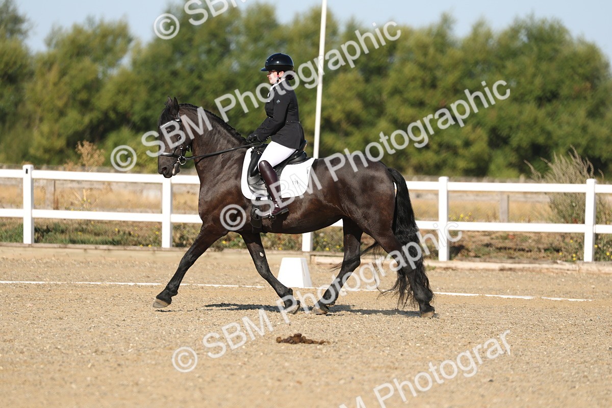 SBM_012640 - Class 1 - P5 Bronze 9.00.10.12