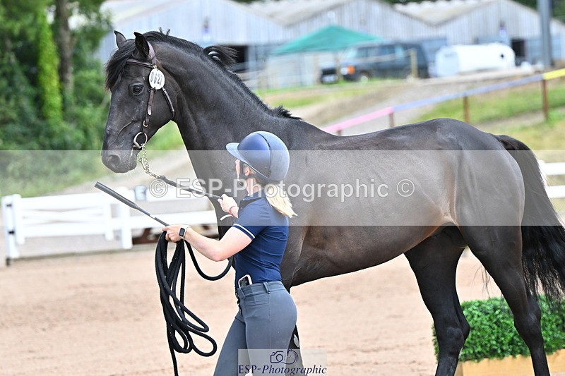 240718A-105309-01633 - Trot Up 1pm to 2pm