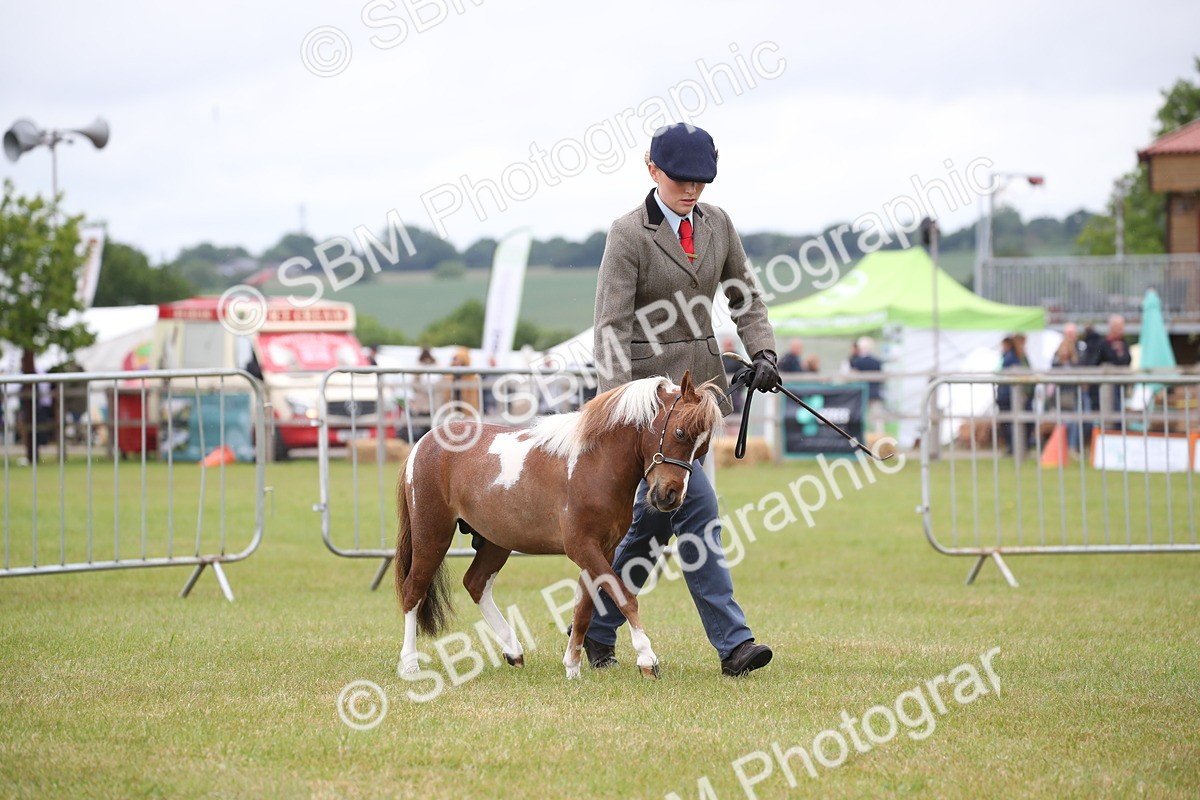 SBM_03524 - Class 23-25 - British Miniature Horse of the Year