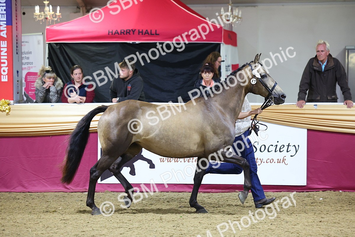 0B8A4543 - Class P Veteran Champ