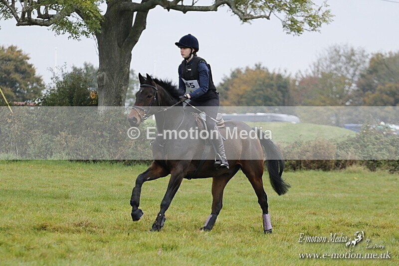 WWHT 181020 WWHT 181020 536 - WWEC Open Novice (0.80m) 18/10/20