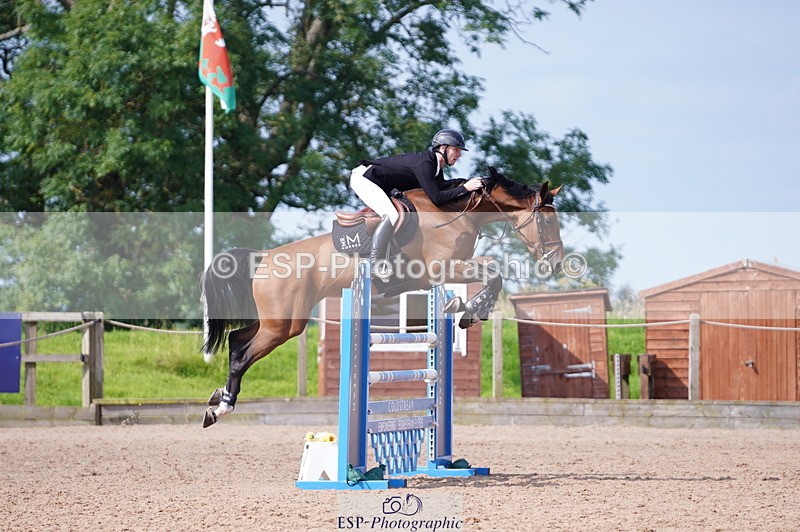 240802A-100340-03493 - Cls 15 Foxhunter